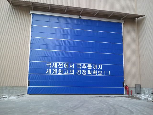 빅도어